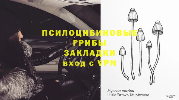 2c-b Абдулино