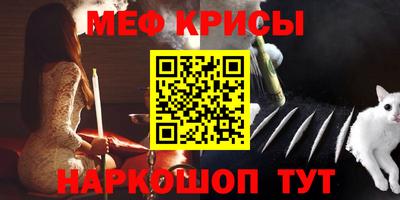 бошки Кингисепп
