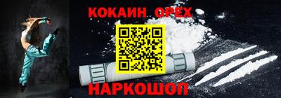 бошки Кингисепп