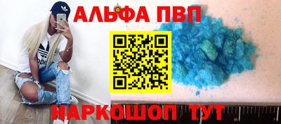 бошки Кингисепп