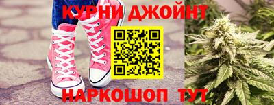 бошки Кингисепп