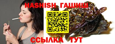 бошки Кингисепп