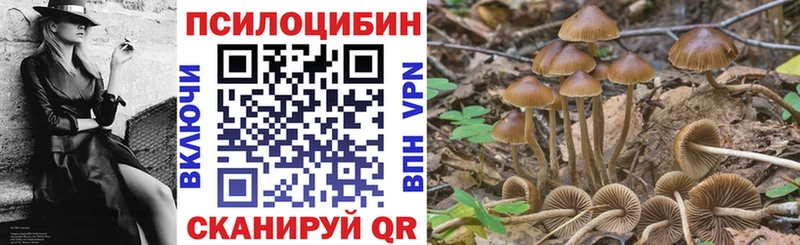 Галлюциногенные грибы Psilocybine cubensis  даркнет формула  Югорск  где купить  