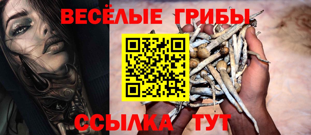 Псилоцибиновые грибы GOLDEN TEACHER Югорск