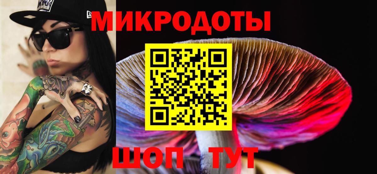 закладки  Вход с VPN  Псилоцибиновые грибы мухоморы  Югорск  Псилоцибиновые грибы Magic Shrooms 