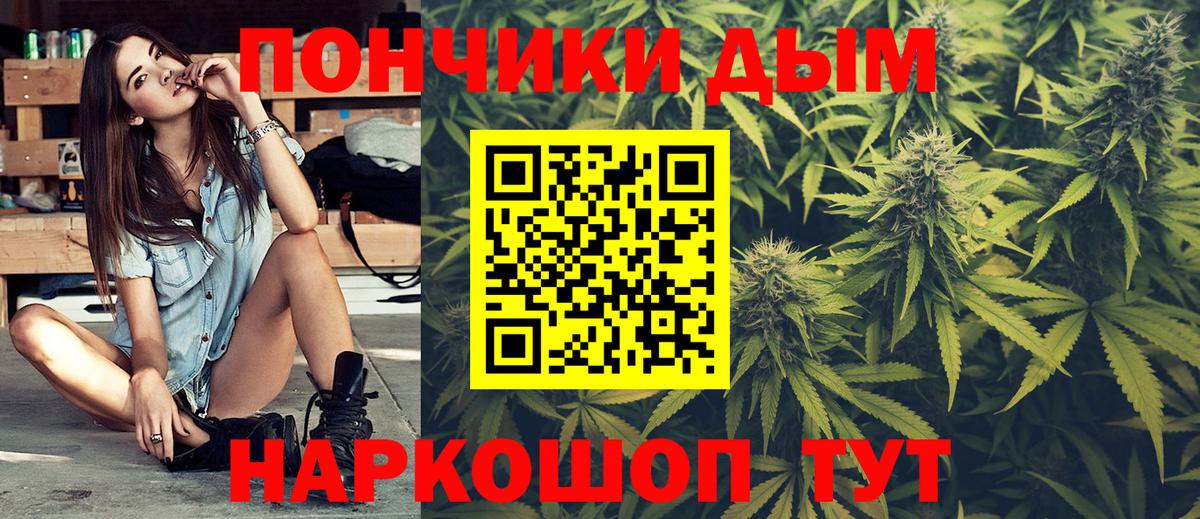Каннабис план Югорск
